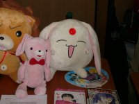 Stands_Amateurs_051.jpg